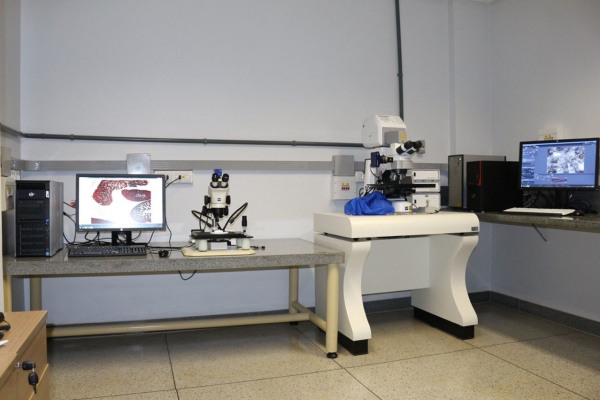 Microscópio Confocal a Laser AXIO IMAGER Z2 e Estéreo Microscópio Óptico ZEISS STEMI 2000.jpg